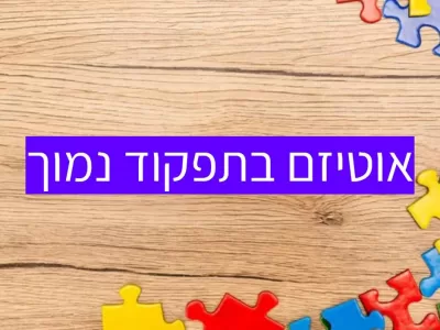 אוטיזם בתפקוד נמוך