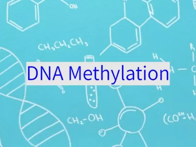 מתילציה של DNA