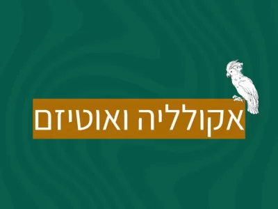 אקולליה ואוטיזם: למה הילד מחקה אותי?